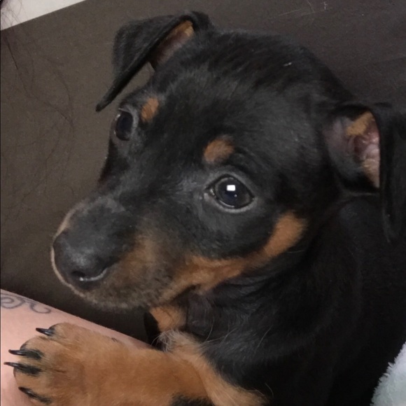 Meet your Posher, Tina marie - Picture 2 of 3